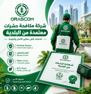 شركة مكافحة حشرات معتمدة من البلدية | دليل اختيار الشركة المناسبة شركة مكافحة حشرات معتمدة من البلدية