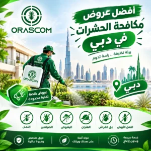 افضل عروض مكافحة الحشرات في دبي | كيف تختار العرض المناسب؟ افضل عروض مكافحة الحشرات في دبي