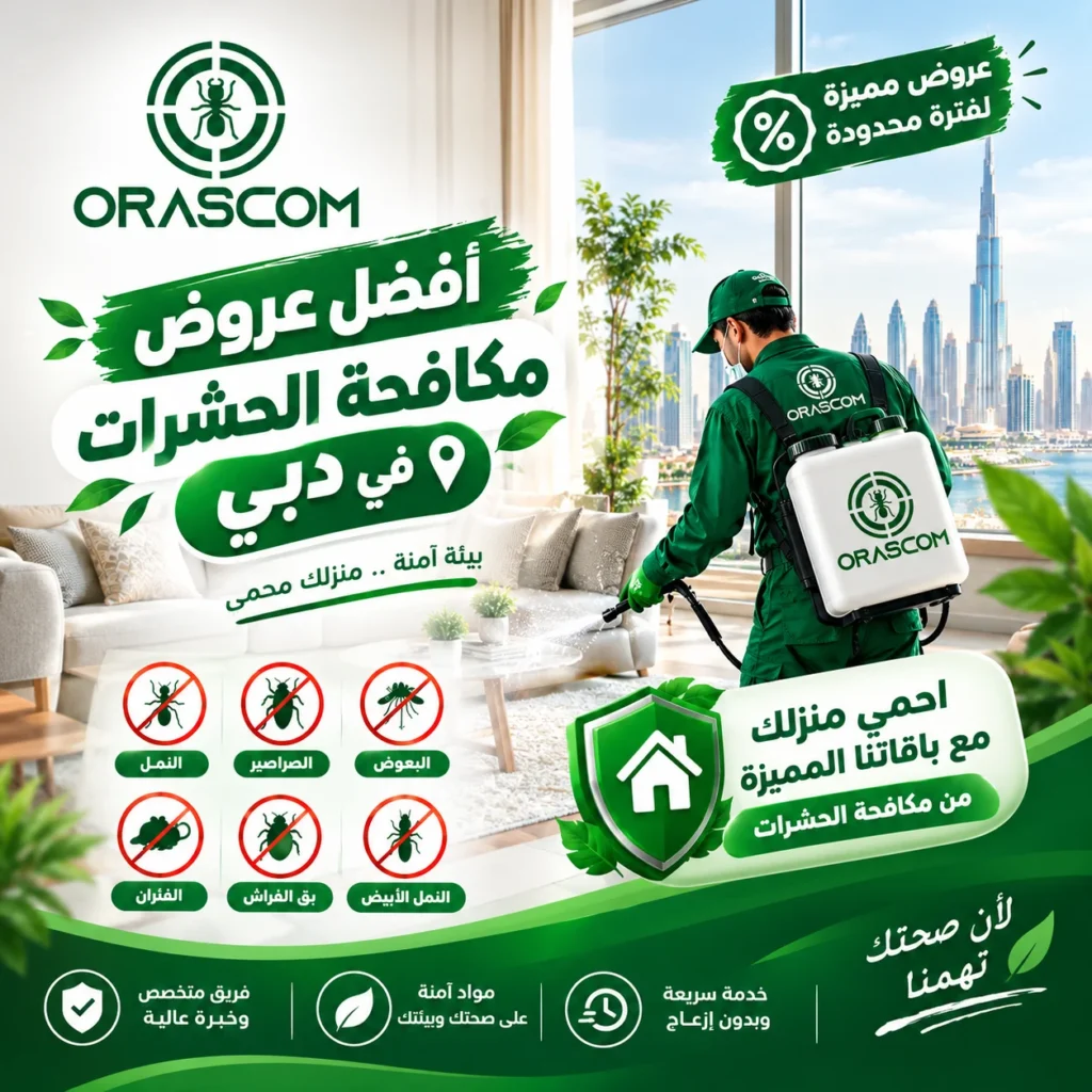 افضل عروض مكافحة الحشرات في دبي | كيف تختار العرض المناسب؟ افضل عروض مكافحة الحشرات في دبي