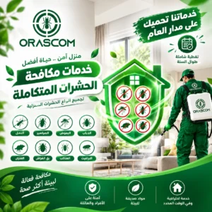 افضل عروض مكافحة الحشرات في دبي | كيف تختار العرض المناسب؟ افضل عروض مكافحة الحشرات في دبي