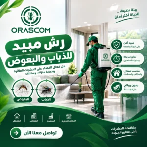 رش مبيد للذباب والبعوض | دليل شامل لمكافحة الحشرات رش مبيد للذباب والبعوض