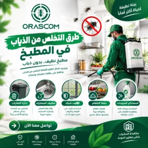 طرق التخلص من الذباب في المطبخ | دليل عملي للتخلص من الحشرات طرق التخلص من الذباب في المطبخ