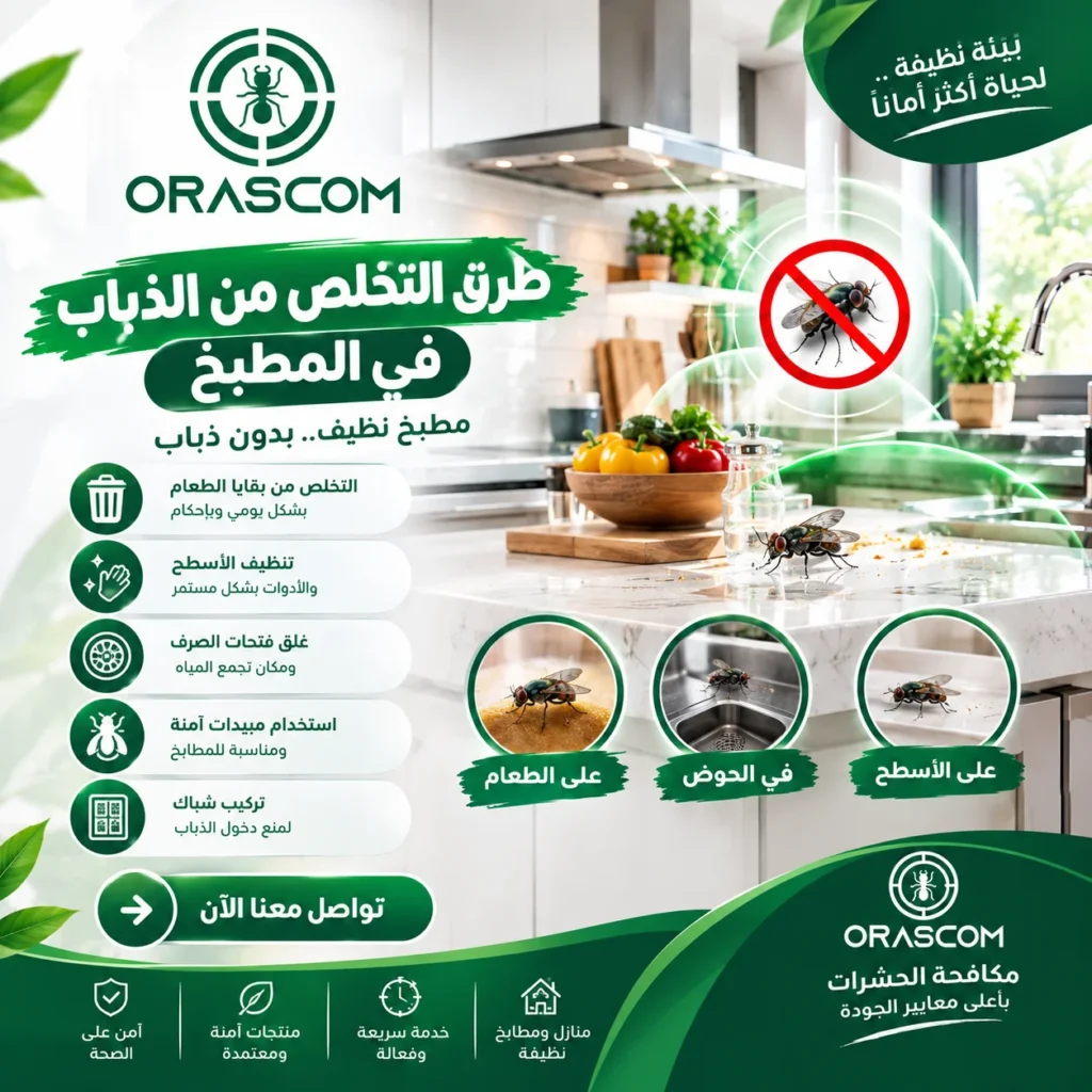 طرق التخلص من الذباب في المطبخ | دليل عملي للتخلص من الحشرات طرق التخلص من الذباب في المطبخ