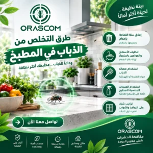 طرق التخلص من الذباب في المطبخ | دليل عملي للتخلص من الحشرات طرق التخلص من الذباب في المطبخ