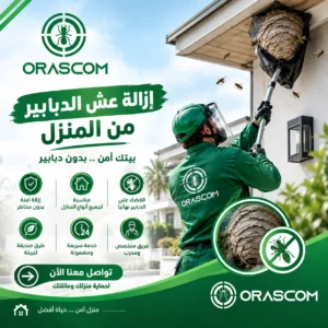 إزالة عش الدبابير من المنزل | دليل آمن للتعامل مع الأعشاش إزالة عش الدبابير من المنزل
