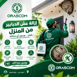 إزالة عش الدبابير من المنزل | دليل آمن للتعامل مع الأعشاش إزالة عش الدبابير من المنزل