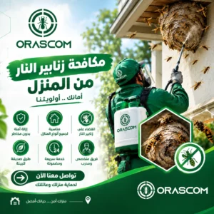 شركة مكافحة زنابير النار | دليل آمن للتعامل مع الزنابير شركة مكافحة زنابير النار
