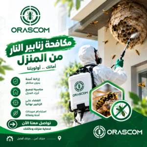 شركة مكافحة زنابير النار | دليل آمن للتعامل مع الزنابير شركة مكافحة زنابير النار