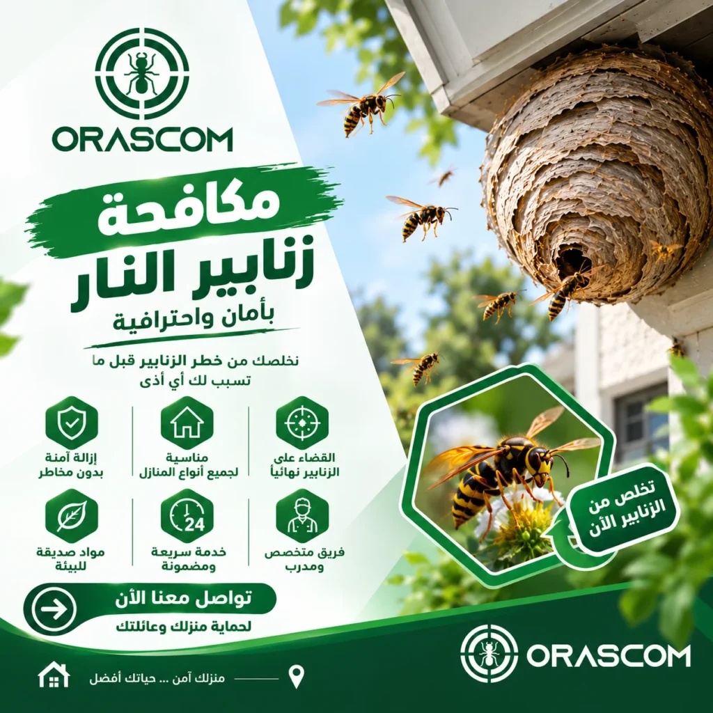شركة مكافحة زنابير النار | دليل آمن للتعامل مع الزنابير شركة مكافحة زنابير النار