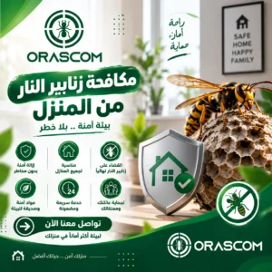 شركة مكافحة زنابير النار | دليل آمن للتعامل مع الزنابير شركة مكافحة زنابير النار