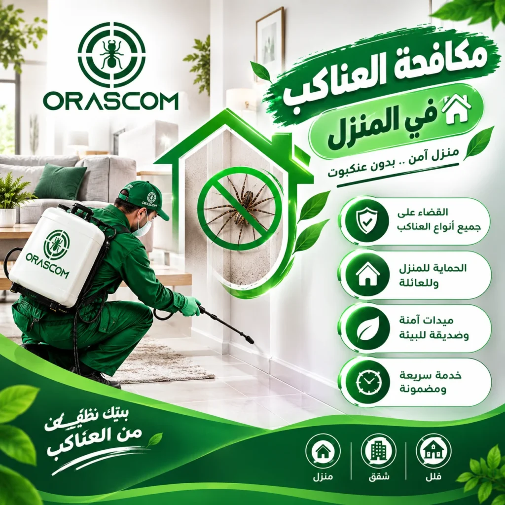 مكافحة العناكب في المنزل | دليل شامل للتخلص من العناكب مكافحة العناكب في المنزل