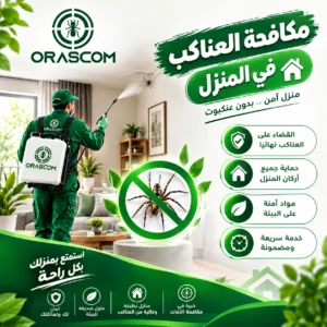 مكافحة العناكب في المنزل | دليل شامل للتخلص من العناكب مكافحة العناكب في المنزل