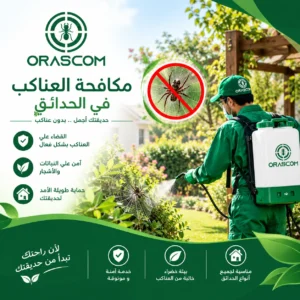 التخلص من عناكب الحديقة