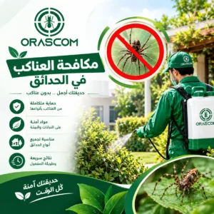 التخلص من عناكب الحديقة