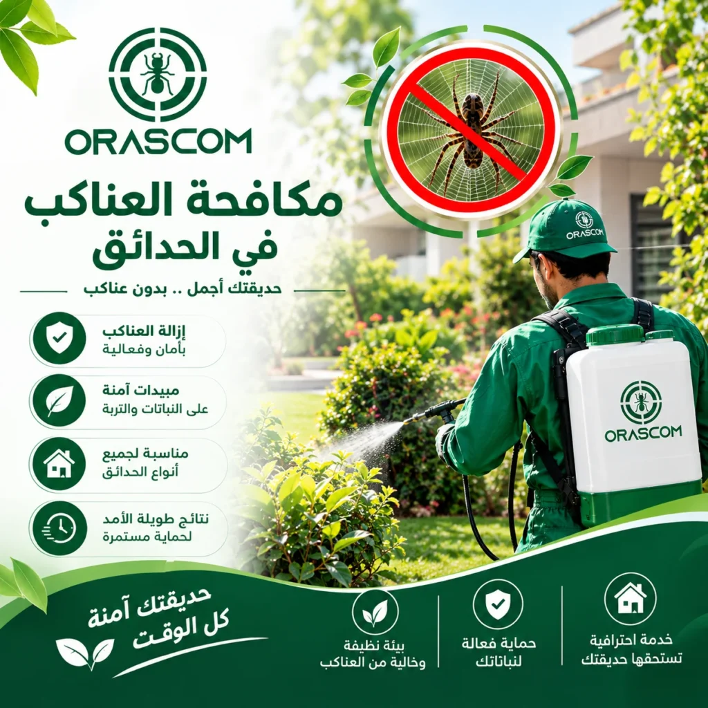 التخلص من عناكب الحديقة