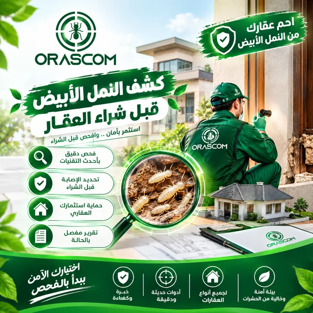 كشف النمل الأبيض قبل شراء العقار