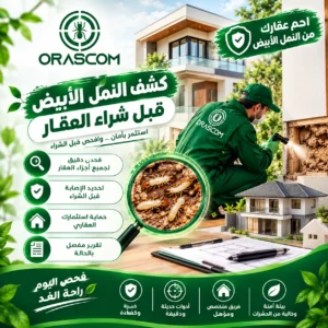 كشف النمل الأبيض قبل شراء العقار