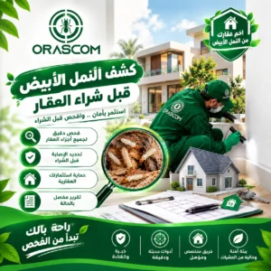 كشف النمل الأبيض قبل شراء العقار