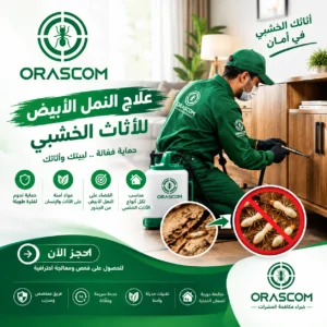 علاج النمل الأبيض للأثاث الخشبي | دليل شامل علاج النمل الأبيض للأثاث الخشبي