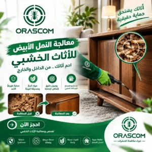 علاج النمل الأبيض للأثاث الخشبي | دليل شامل علاج النمل الأبيض للأثاث الخشبي