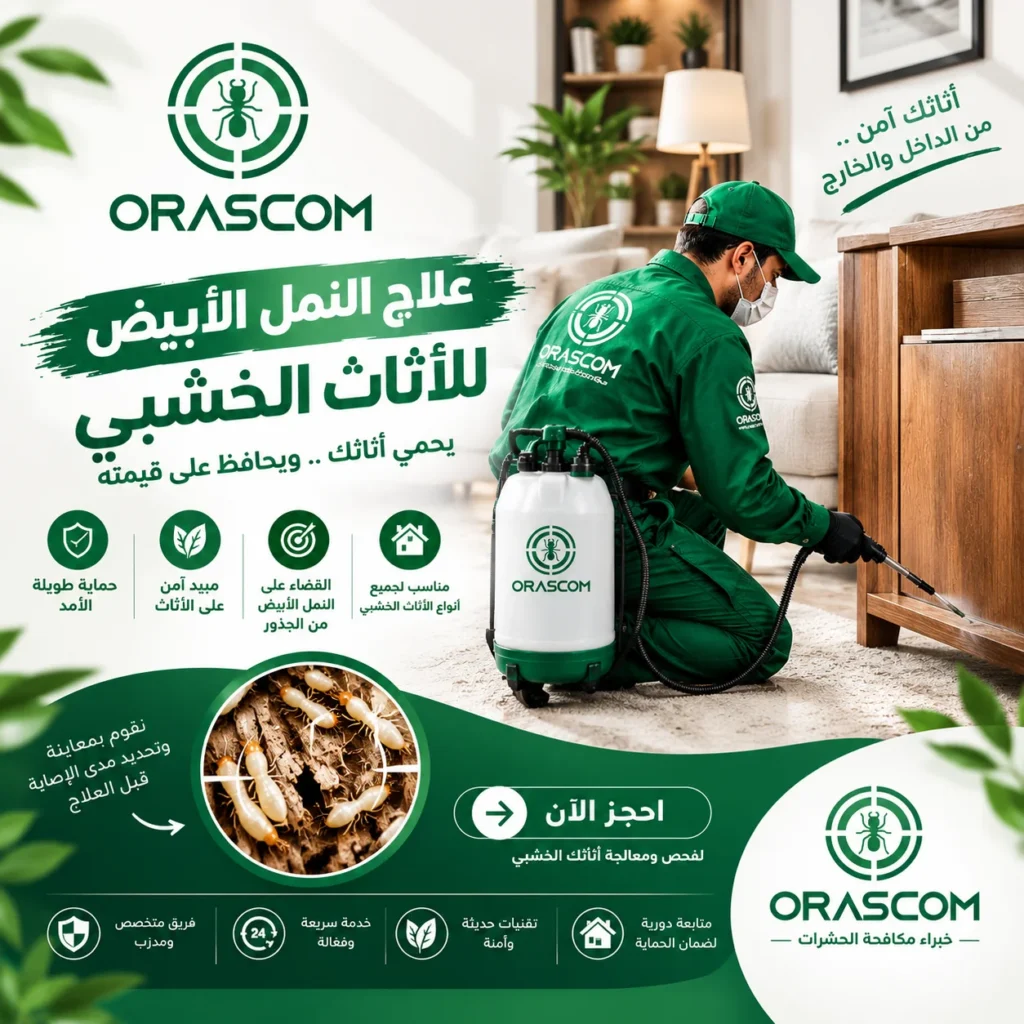علاج النمل الأبيض للأثاث الخشبي | دليل شامل علاج النمل الأبيض للأثاث الخشبي