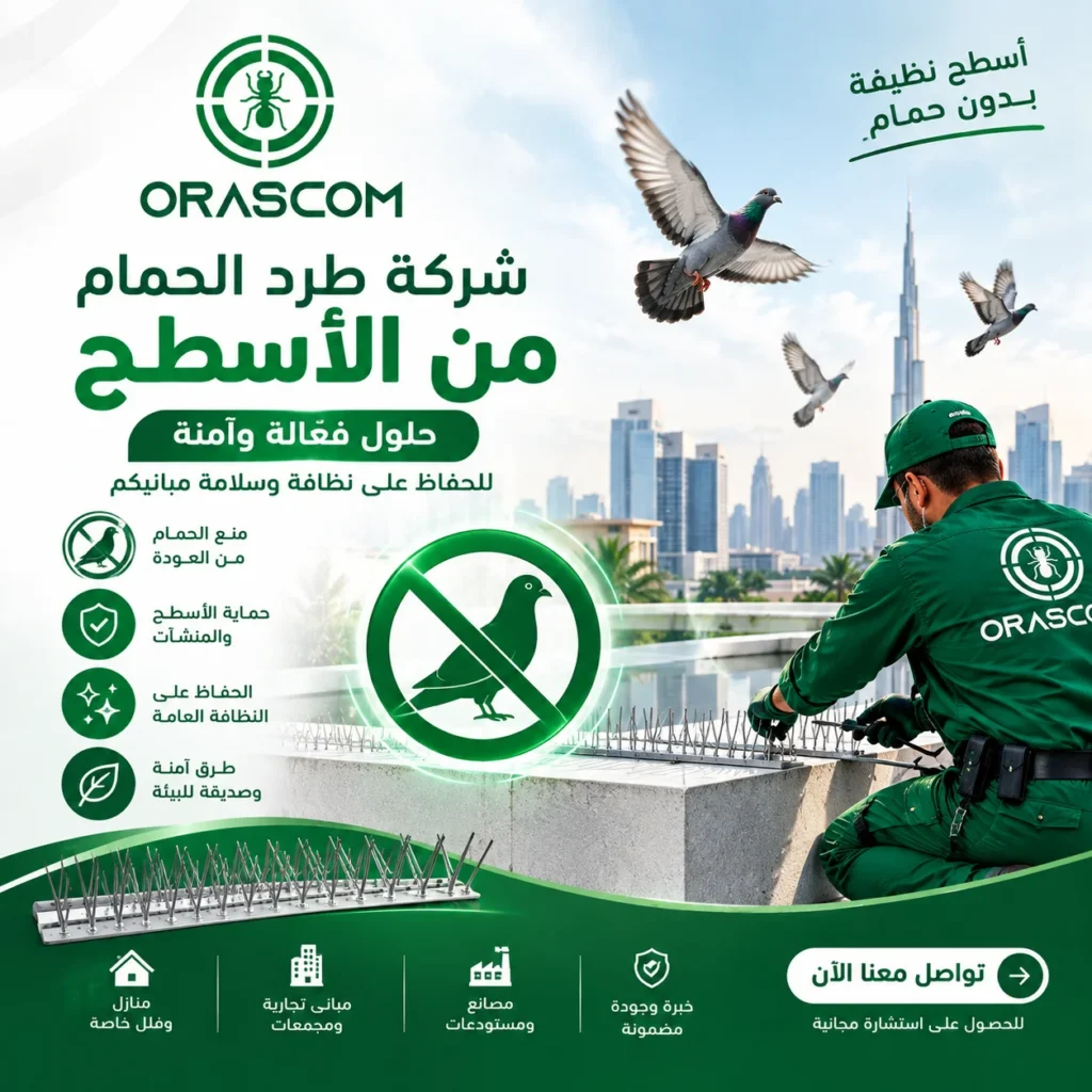 شركة طرد الحمام من الأسطح