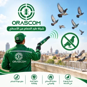 شركة طرد الحمام من الأسطح