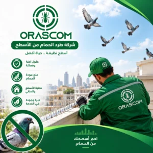 شركة طرد الحمام من الأسطح