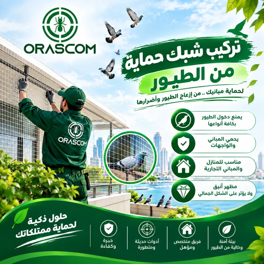 تركيب شبك حماية من الطيور