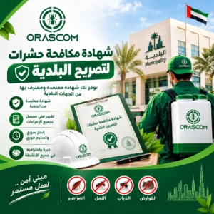 شهادة مكافحة حشرات لتصريح البلدية