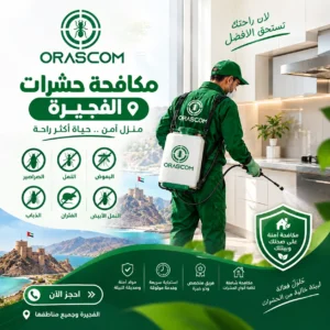 مكافحة حشرات الفجيرة