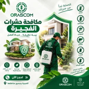 مكافحة حشرات الفجيرة