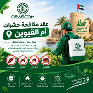 مكافحة حشرات أم القيوين