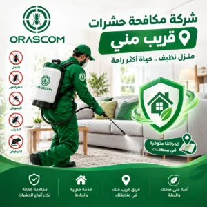 شركة مكافحة حشرات قريب مني | دليلك لاختيار الخدمة المناسبة شركة مكافحة حشرات قريب مني