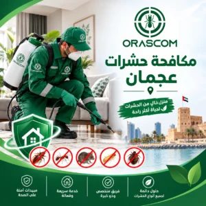مكافحة حشرات عجمان | حلول فعالة للتخلص من الآفات مكافحة حشرات عجمان