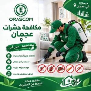 مكافحة حشرات عجمان | حلول فعالة للتخلص من الآفات مكافحة حشرات عجمان
