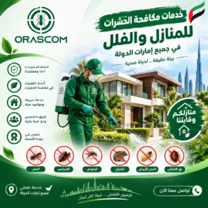 أفضل شركة مكافحة حشرات في الإمارات | دليل اختيار الشركة المناسبة أفضل شركة مكافحة حشرات في الإمارات