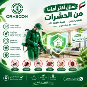 أفضل شركة مكافحة حشرات في الإمارات | دليل اختيار الشركة المناسبة أفضل شركة مكافحة حشرات في الإمارات
