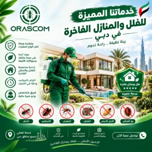 شركة مكافحة حشرات بضمان في دبي | خدمة موثوقة لمكافحة الآفات شركة مكافحة حشرات بضمان في دبي