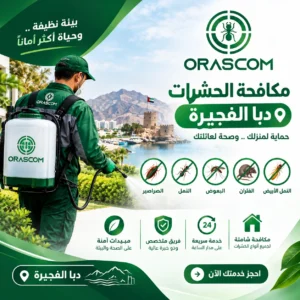 مكافحة حشرات دبا الفجيرة