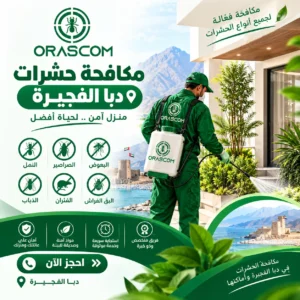 مكافحة حشرات دبا الفجيرة