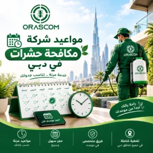مواعيد شركة مكافحة حشرات في دبي