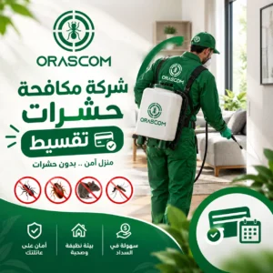 شركة مكافحة حشرات تقسيط في الإمارات | حلول فعالة لمكافحة الآفات شركة مكافحة حشرات تقسيط