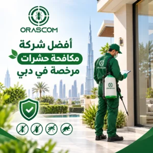 أفضل شركة مكافحة حشرات مرخصة في دبي، | حلول احترافية للآفات أفضل شركة مكافحة حشرات مرخصة في دبي