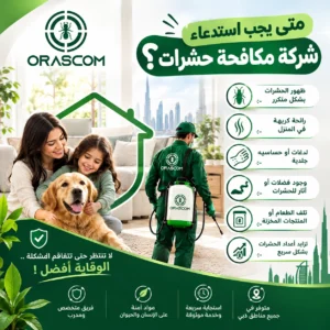 متى يجب استدعاء شركة مكافحة حشرات