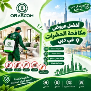 أفضل عروض مكافحة الحشرات في دبي