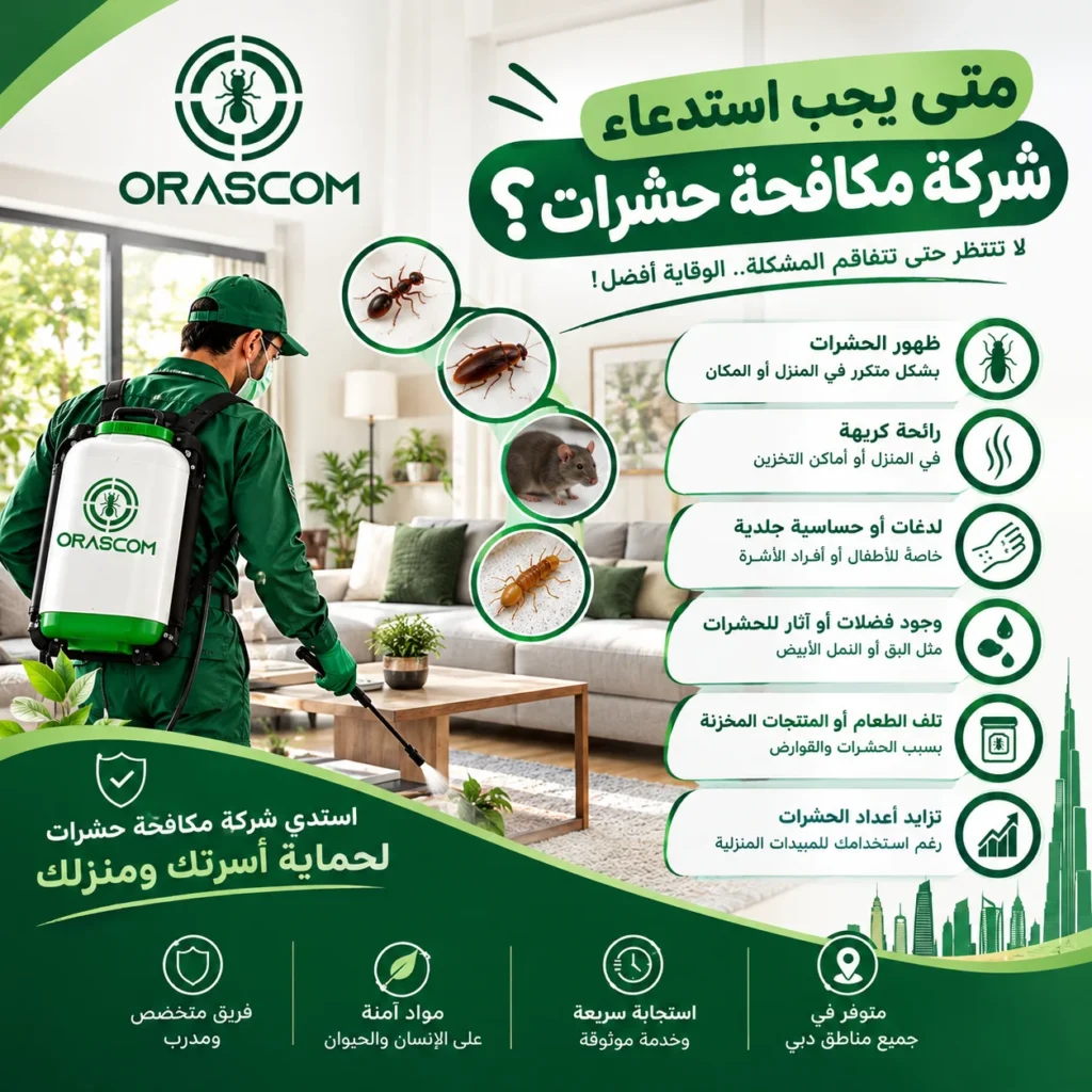 متى يجب استدعاء شركة مكافحة حشرات