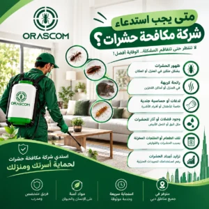 متى يجب استدعاء شركة مكافحة حشرات؟ أهم العلامات التي لا يجب تجاهلها