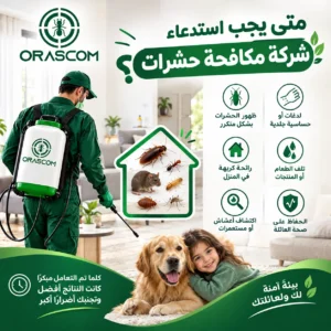 متى يجب استدعاء شركة مكافحة حشرات