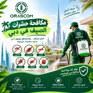 مكافحة حشرات الصيف في دبي: طرق الوقاية وأفضل حلول المكافحة